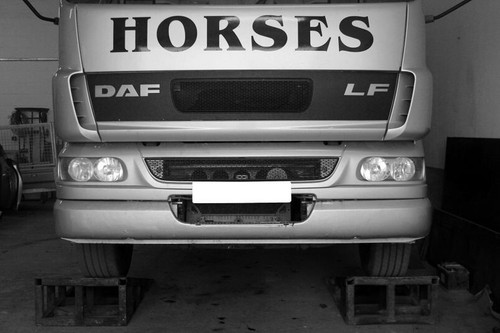 Horse box graphics stickers - horse,