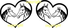 Large Horse Box Vinyl Decals