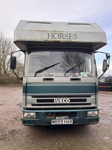 Iveco tonne horse lorry - horse,