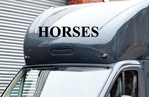 Horse box lettering - horse,