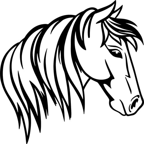 Horse vinyl decal sticker - vinyl, for