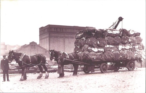 Liverpool 1912 horse lorry - horse,