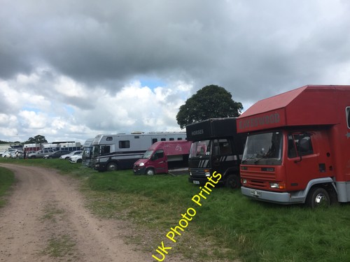 Photo 6x4 betley show horse - 6x4,
